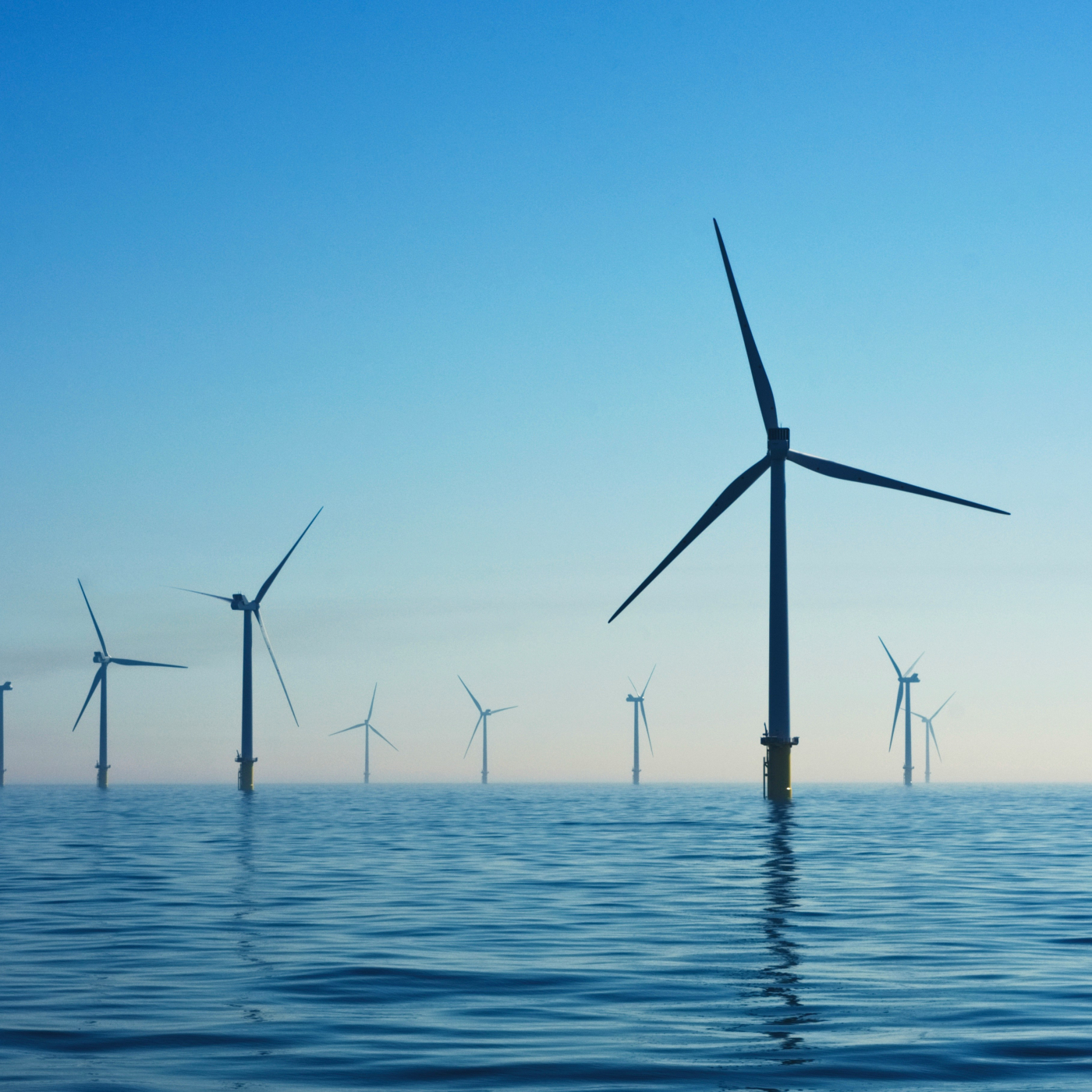 Royal Vopak